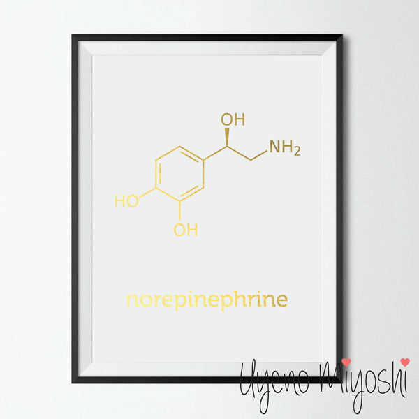 Chemical Molecule - Norepinephrine