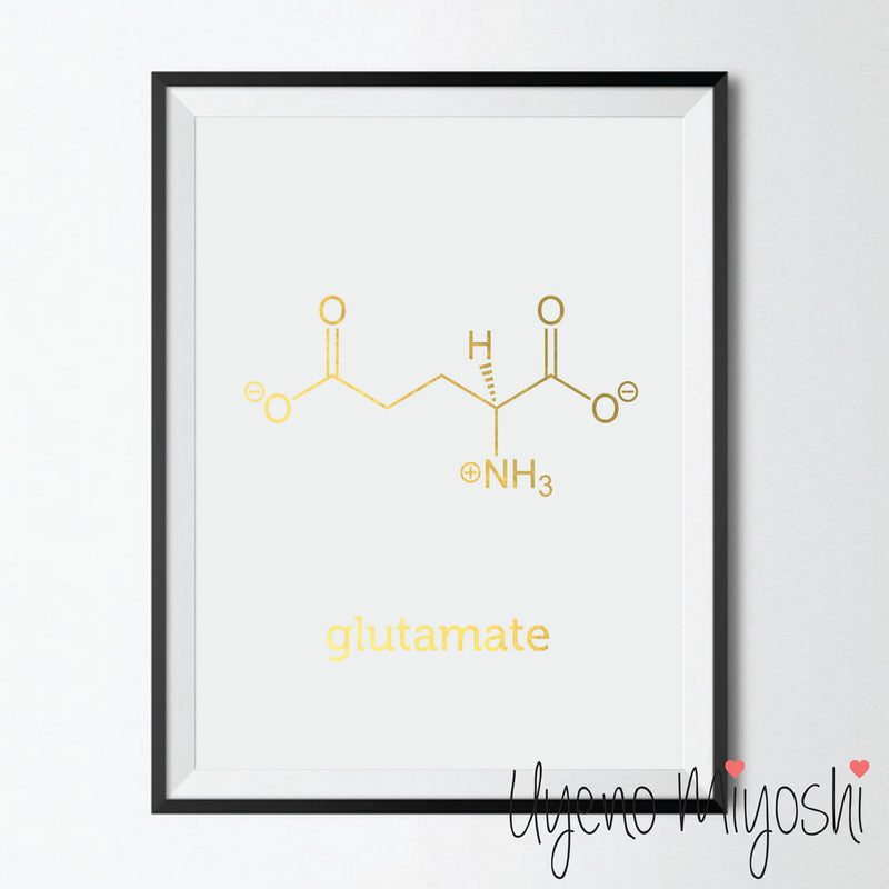 Chemical Molecule - Glutamate