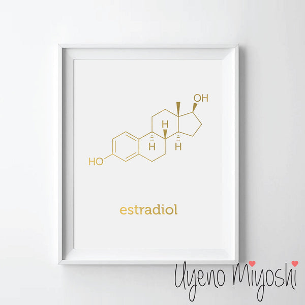 Chemical Molecule - Estradiol
