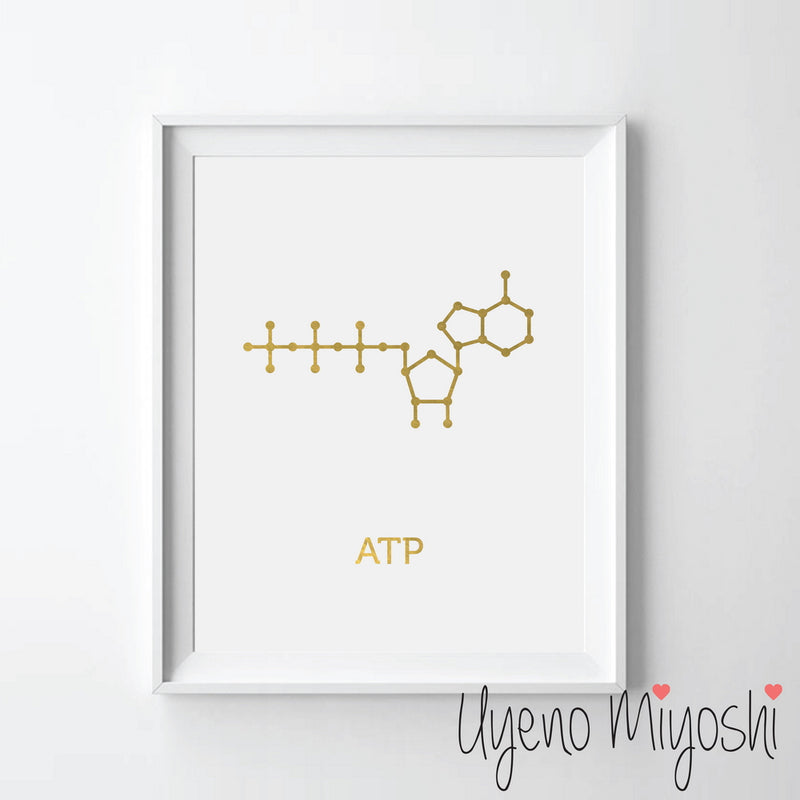 Chemical Molecule - ATP