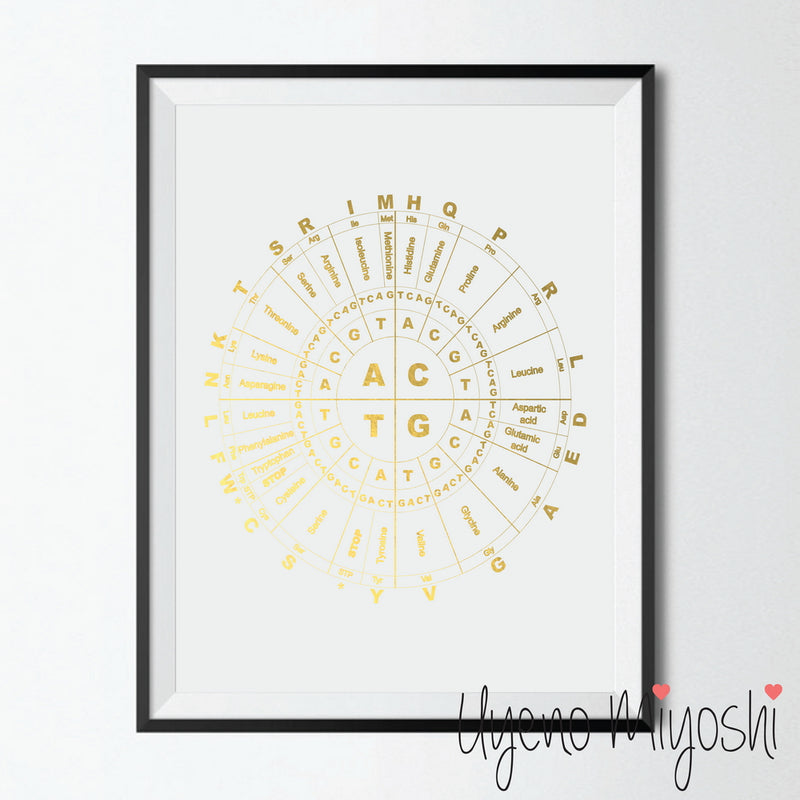 Genetic Code Chart