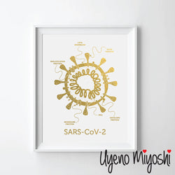 Coronavirus SARS-CoV-2 COVID Molecule