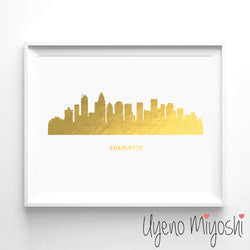 Charlotte Skyline