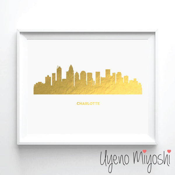 Charlotte Skyline