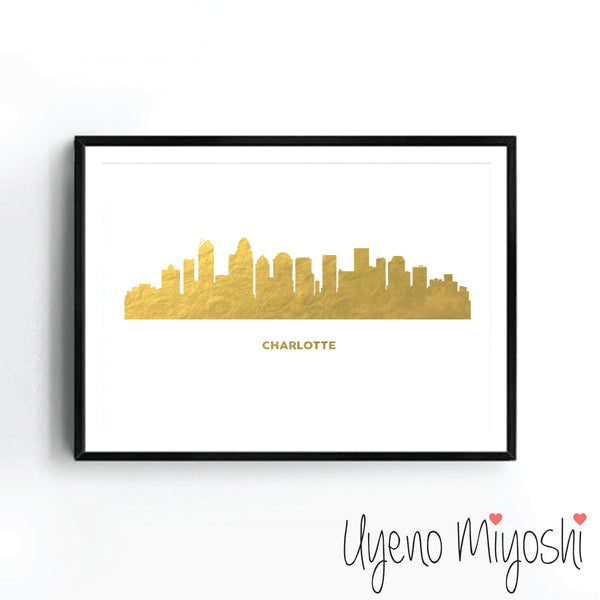 Charlotte Skyline
