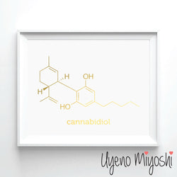 Chemical Molecule - Cannabidiol