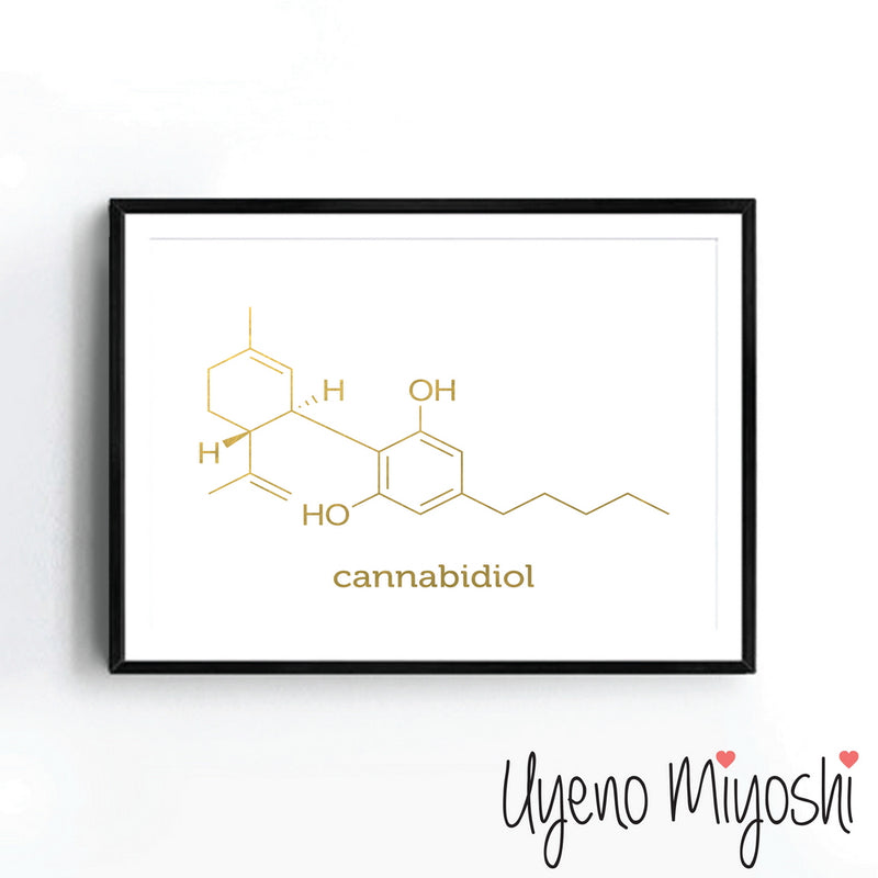 Chemical Molecule - Cannabidiol