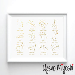 Constellation Sign