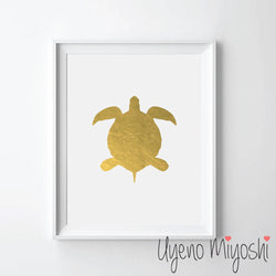 Turtle I