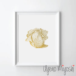 Vegetable - Cabbage