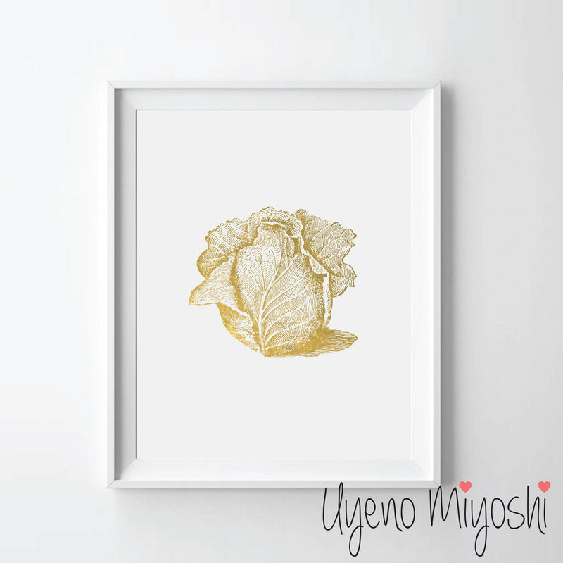 Vegetable - Cabbage