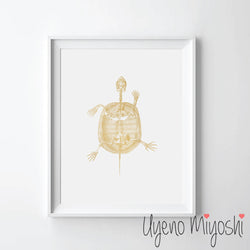 Turtle II