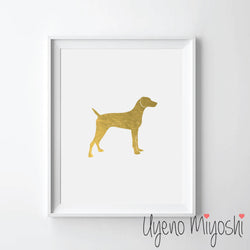 Dog - Weimaraner