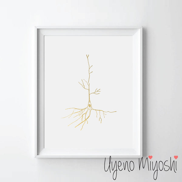 Neuron I