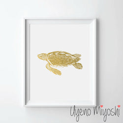 Turtle III