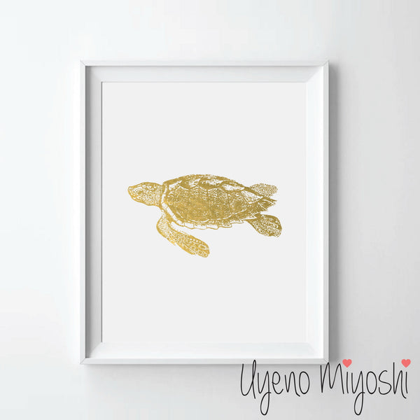 Turtle III