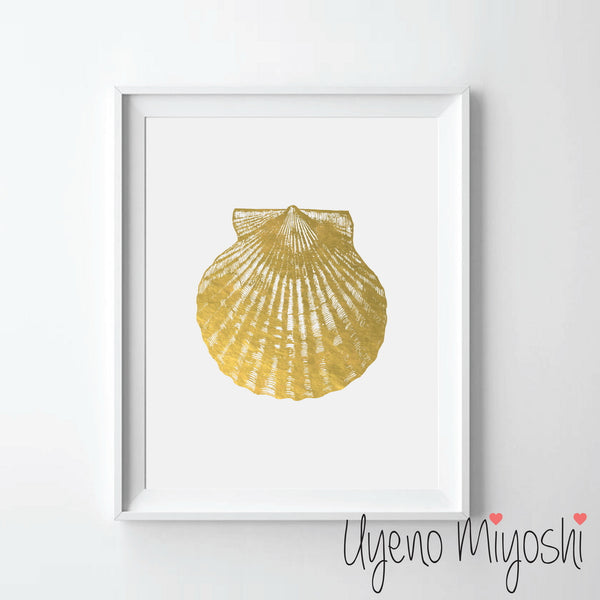 Scallop