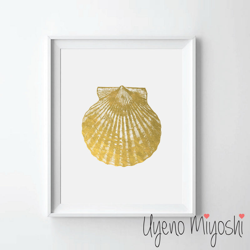Scallop