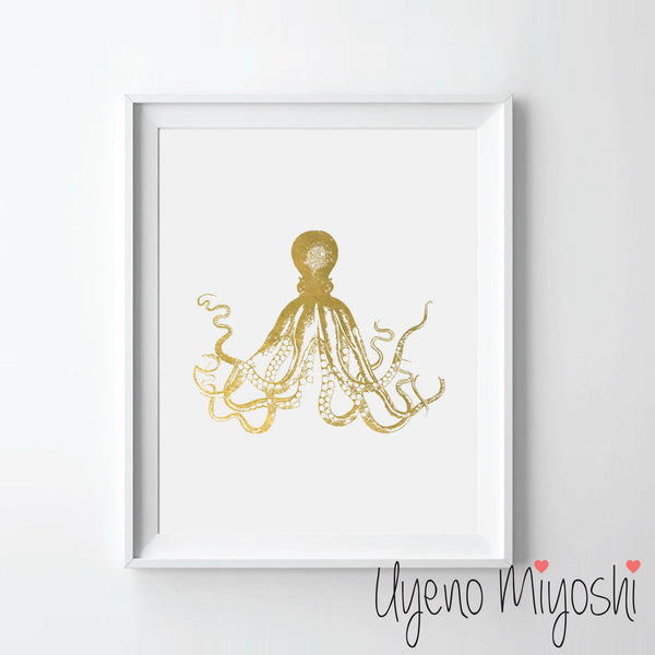 Octopus