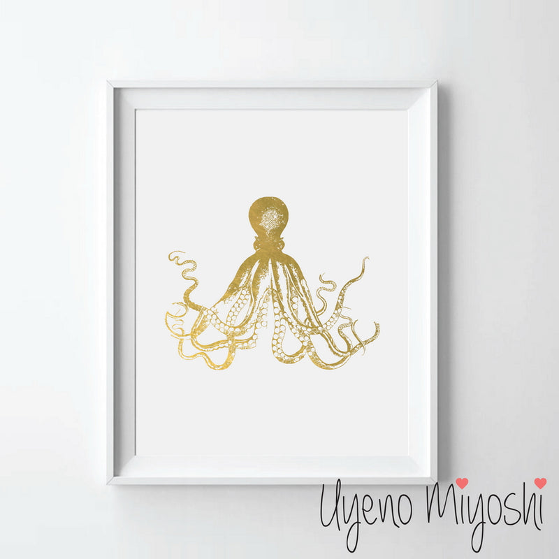 Octopus