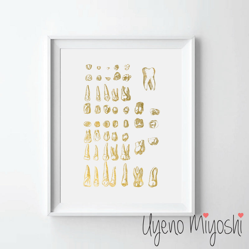 Human Tooth III