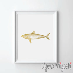 Shark
