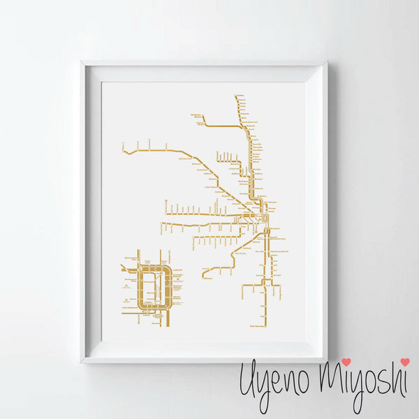 Chicago Metro Map