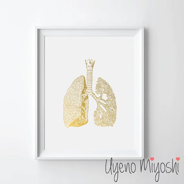 Human Lung III