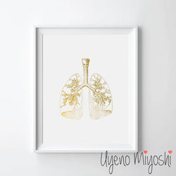 Human Lung II