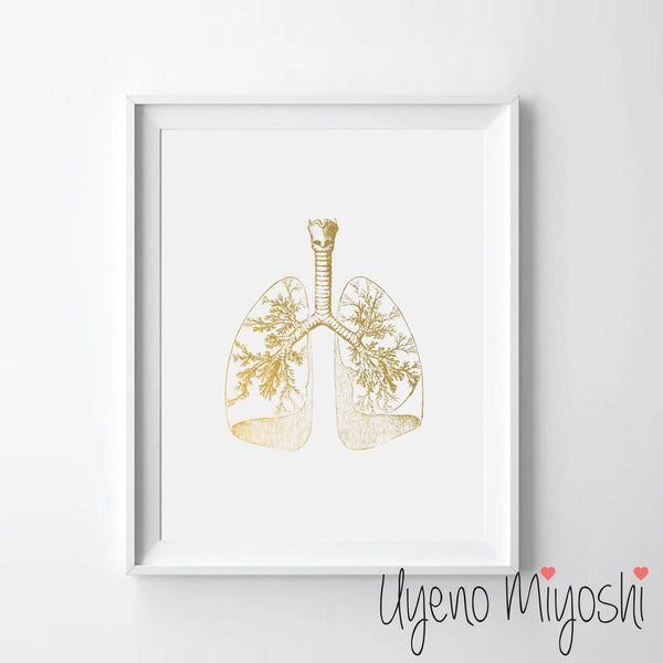 Human Lung II