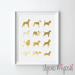 Dog Breeds III