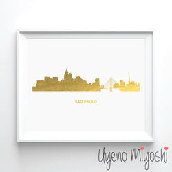 São Paulo Skyline