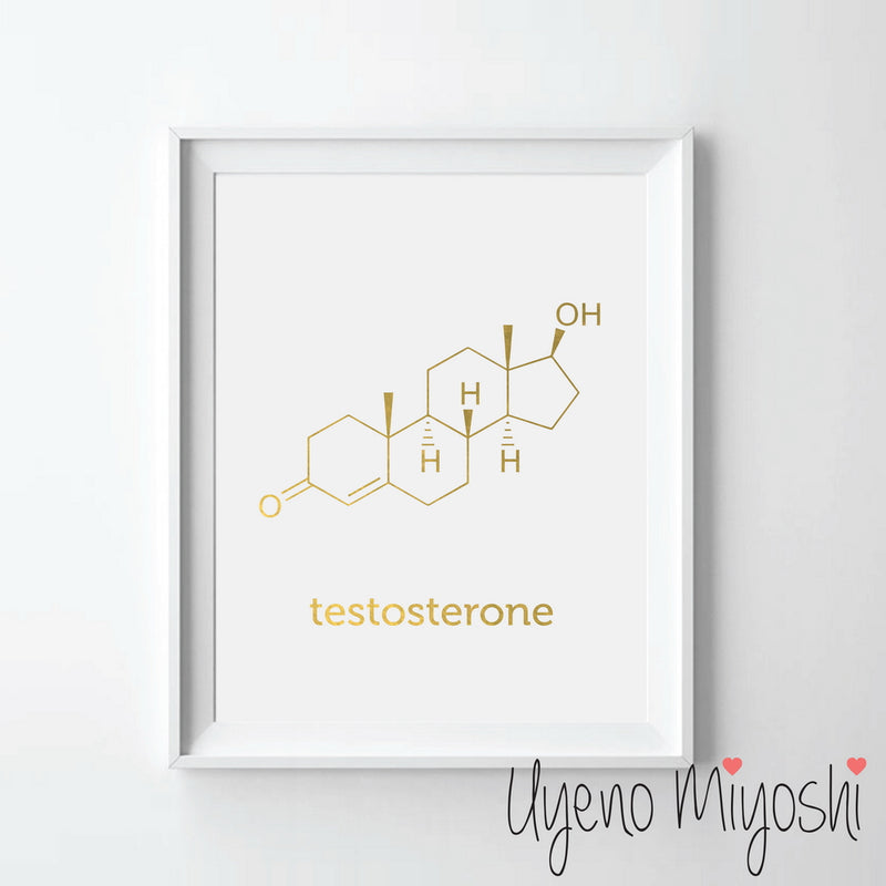 Chemical Molecule - Testosterone