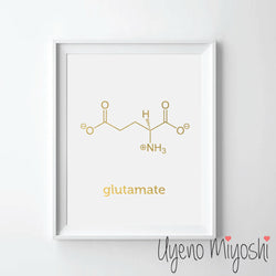 Chemical Molecule - Glutamate