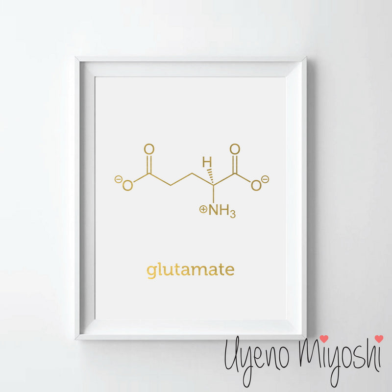 Chemical Molecule - Glutamate