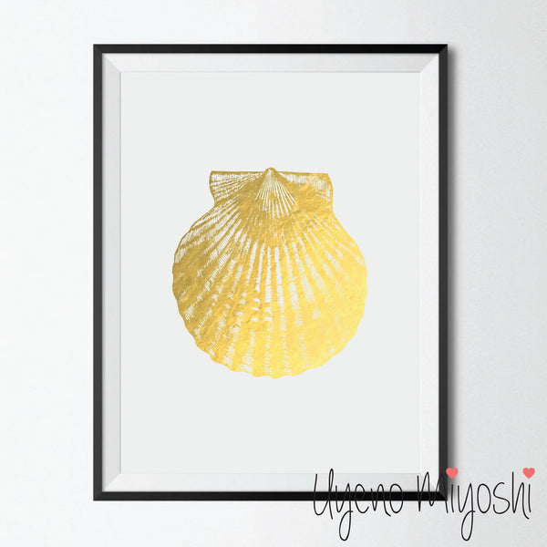 Scallop