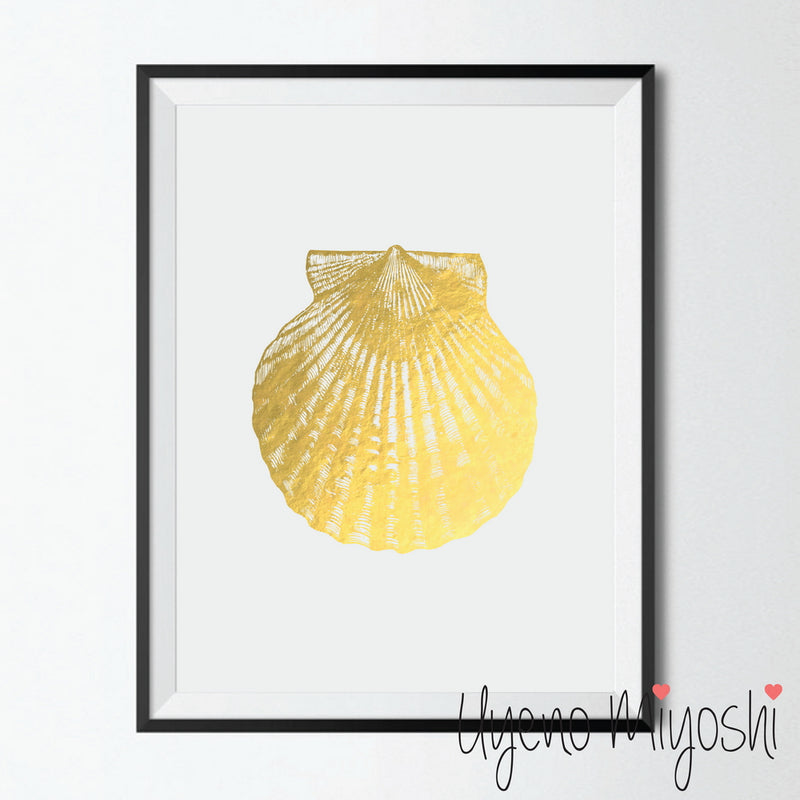 Scallop