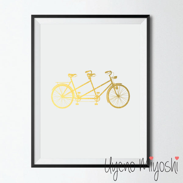 Tandem Bike