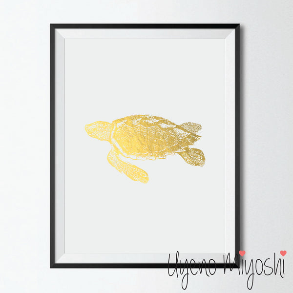 Turtle III