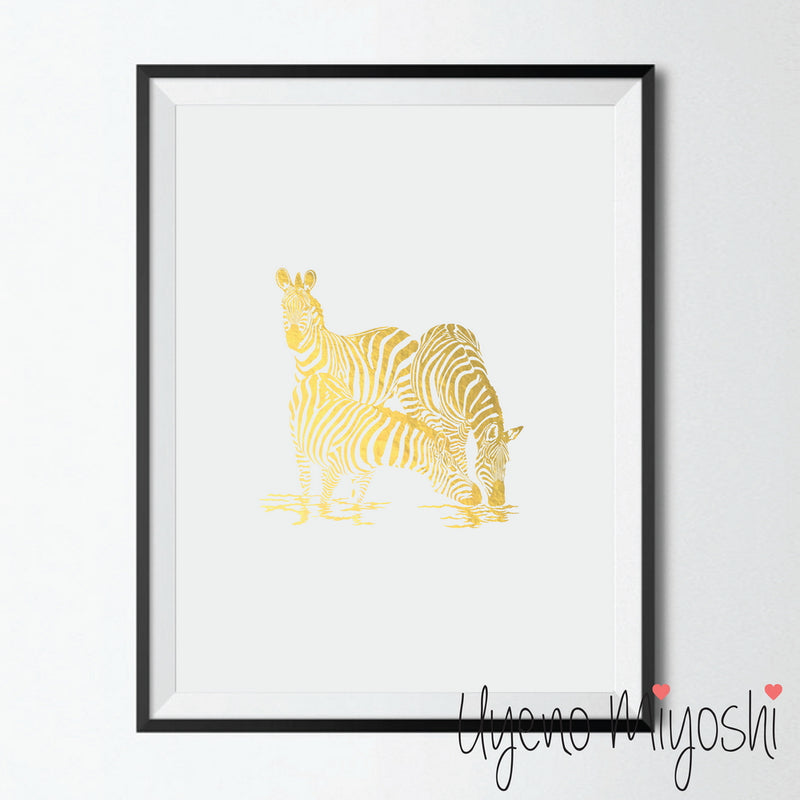 Zebra II