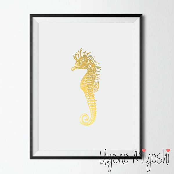 Seahorse II