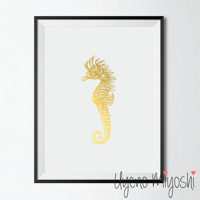 Seahorse II