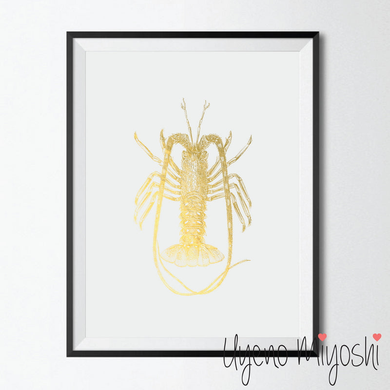 Lobster I