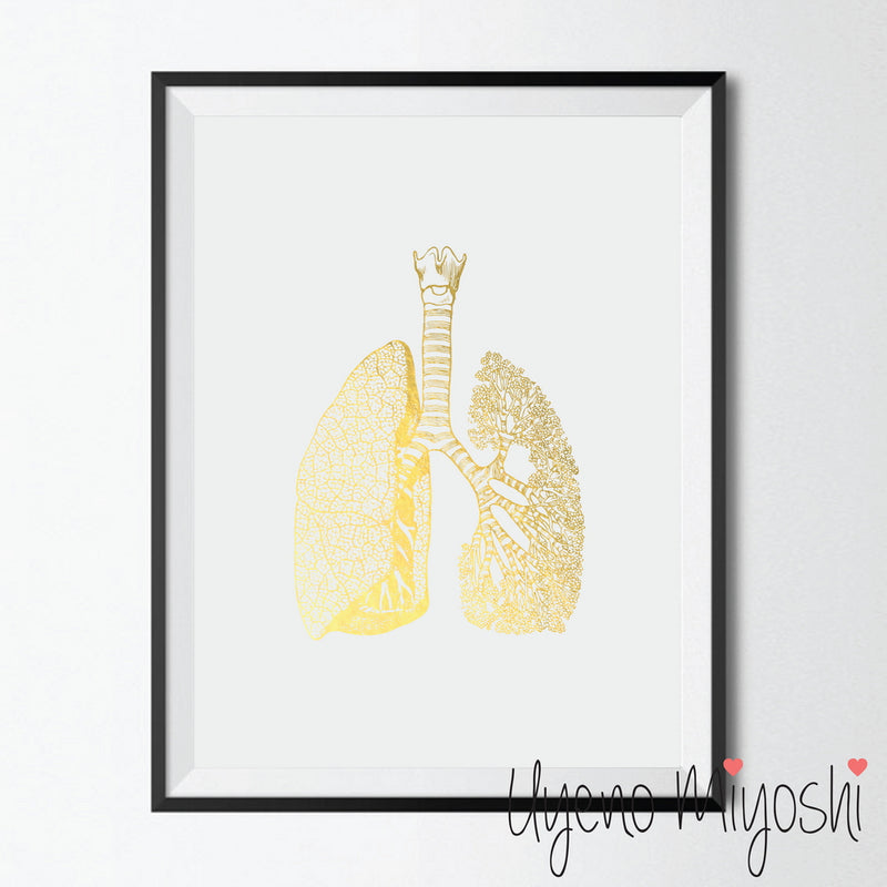 Human Lung III