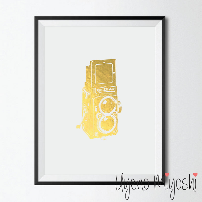 Vintage Camera II