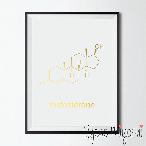 Chemical Molecule - Testosterone