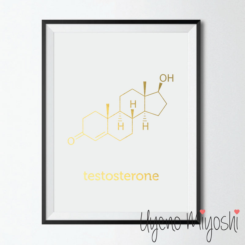 Chemical Molecule - Testosterone