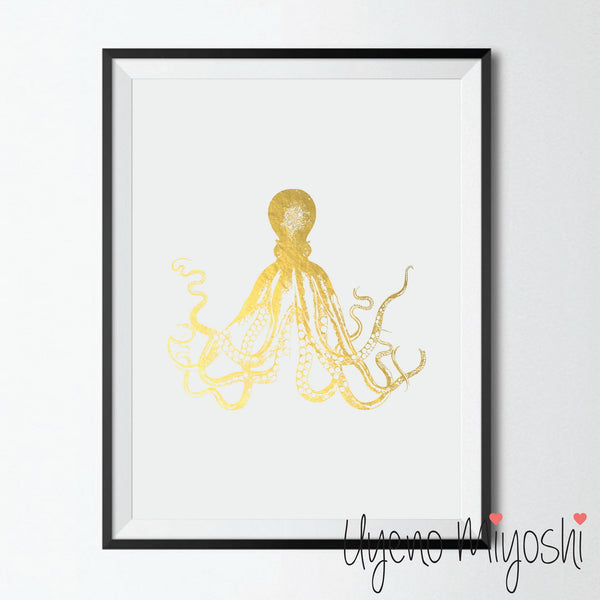 Octopus