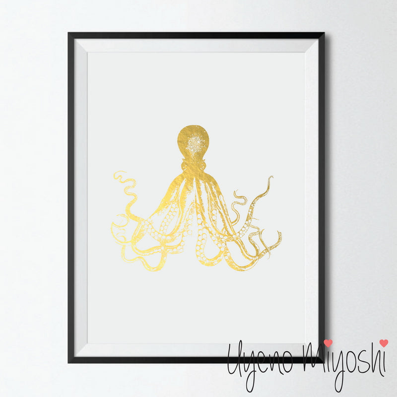 Octopus