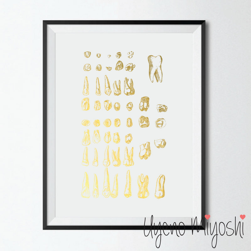 Human Tooth III